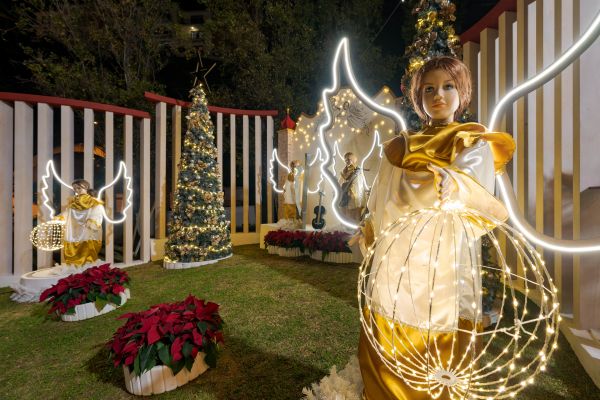 ponta-do-sol-natal-2021-10122021-a1-0016-0016-minF2EF86FE-50CE-EBF5-CB59-49DB989E4ACB.jpg