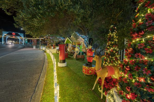 ponta-do-sol-natal-2021-10122021-a1-9990-0928-min5E449ED4-EDE8-3A85-AEB9-449500446DA9.jpg